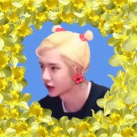 능소회 (@homobakssi) 's Twitter Profile Photo