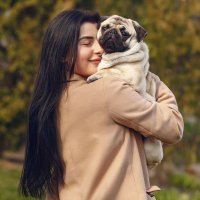 pug owners club(@pugownersclub) 's Twitter Profile Photo pug owners club(@pugownersclub) 's Twitter Profile Photo