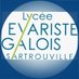 Lycée Evariste Galois (@e_galois78) Twitter profile photo Lycée Evariste Galois (@e_galois78) Twitter profile photo