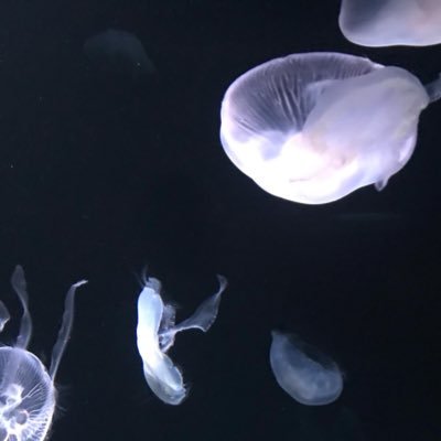 nagi_k1031's profile picture. Web Engineer / PHP / Symfony
