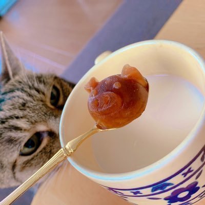 あんさん🌸さんのプロフィール画像