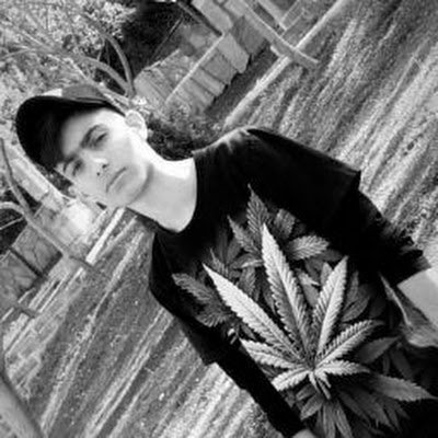 alireza474747's profile picture. 