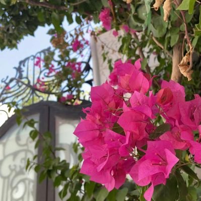 اخصائيه نفسيه ماجستير ارشاد نفسي🕊️🍃 الخاص مهمل
