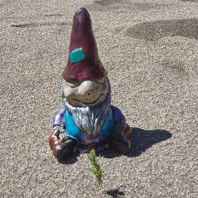 Wandering Hippy Gnome