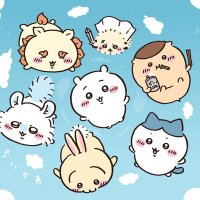 kikuchi kirara (@kirara50813845) 's Twitter Profile