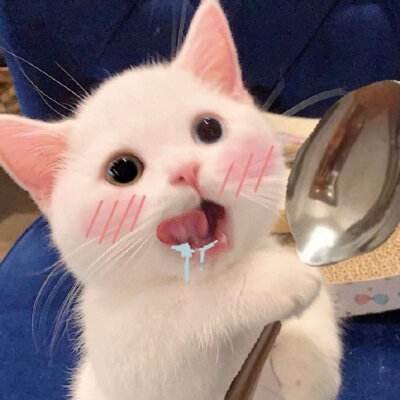 jming08774244's profile picture. 