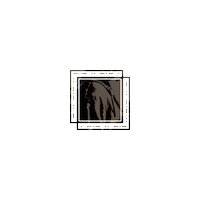 ‍ ‍ ‍ ‍ ‍ ‍ ‍ ‍ ‍ 𝒷e͟a͟u͟tiful ‍ ‍ ‍ ‍ 𝒻e͟a͟r𓈒 (@fcnalnight) 's Twitter Profile Photo