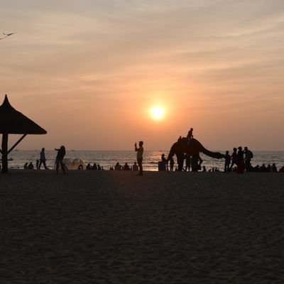 Amit231804's profile picture. 