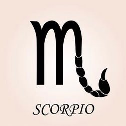 hansz0911's profile picture. 