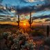 Anna E. Dolak, J.D., LL.M. (tax)🌵🌎 (@councied) Twitter profile photo Anna E. Dolak, J.D., LL.M. (tax)🌵🌎 (@councied) Twitter profile photo