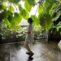 Minori🌺 (@kaliromi_) Twitter profile photo