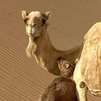 ‏‏‏‏أذكروا الله يذكركم