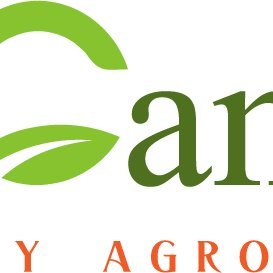 DelCampo_Seeds's profile picture. 