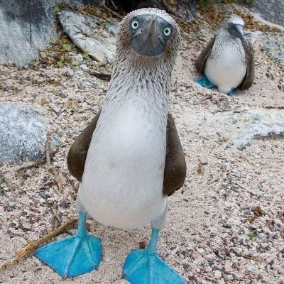 jeannie_finer's profile picture. 