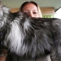 Ah yalan dünya (@seyfulla_hattat) 's Twitter Profile