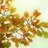 abubrahim111's profile image