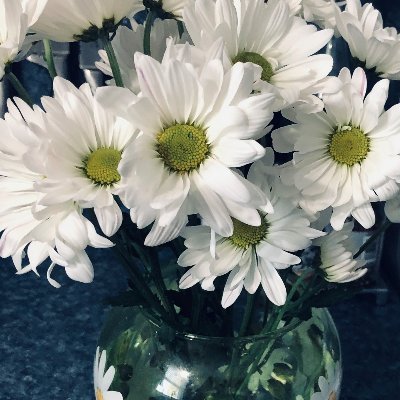 Lover of Jesus, my husband, and my kids. Grateful that the