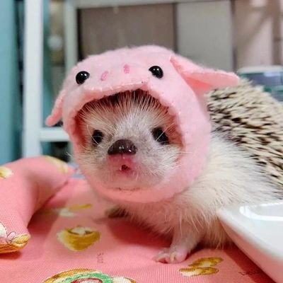 blyalabolkaさんのプロフィール画像