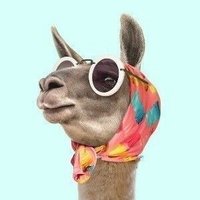 Lama(@mutsuzlama) 's Twitter Profile Photo