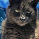 Michelle Harned - @michelle_harned - Twitter