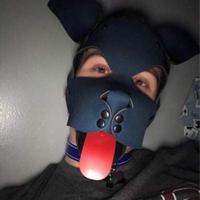 BabyFagFloyd Profile Picture