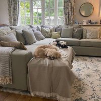 The Hastings Sofa Company(@HastingsSofa) 's Twitter Profile Photo