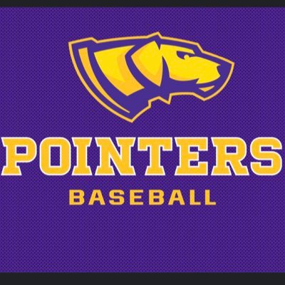 UWSP Baseball Profile