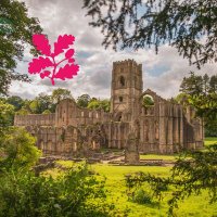 Fountains Abbey & Studley Royal, National Trust(@fountainsabbey) 's Twitter Profile Photo