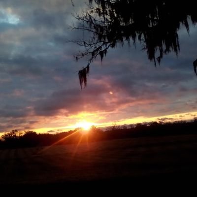 Taylor_2663's profile picture. 