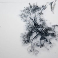 Ann (@akbiss) 's Twitter Profile Photo