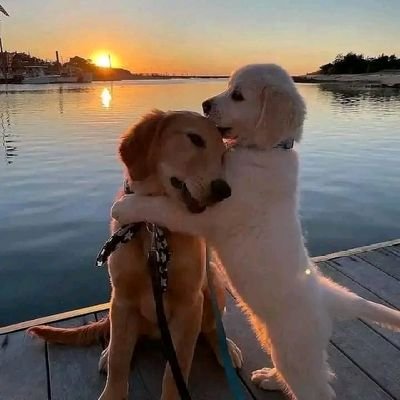 mbuyiselokheph7's profile picture. 