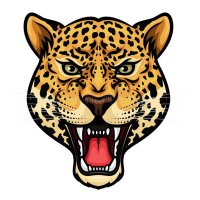 MPJ English Department (@mpjenglish) 's Twitter Profile