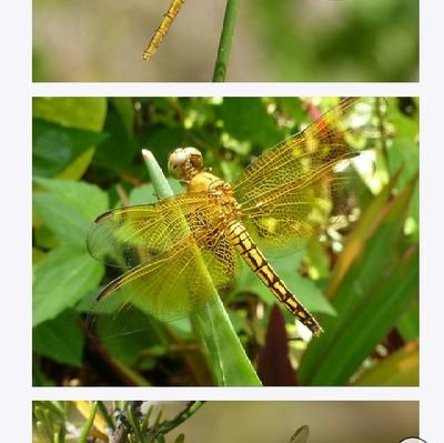 icegal1568's profile picture. Love life hate drama,,,,love change that's well over due!!!