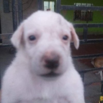 c_ccharly's profile picture. 