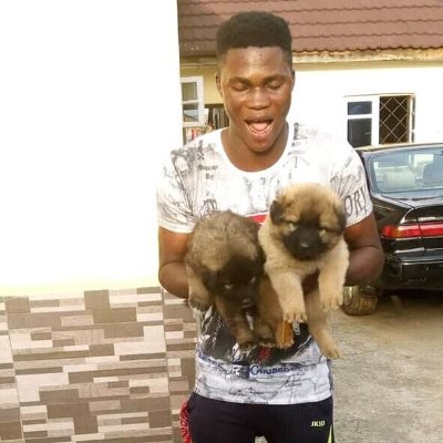 JethroOrisa's profile picture. Republik
Chase
Humble
Music 🎶
MMMBM👑