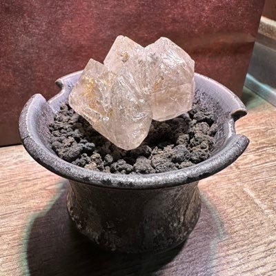 1219_eternal's profile picture. こちらは普段の呟きや趣味などを載せていくアカウントとしてます☆唄うことや表現のことについてのアカウントはこちら→深遥(ミハテ) @SCrOf4VJ0QAvrqs