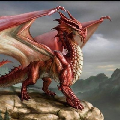 cymrawes Profile Picture