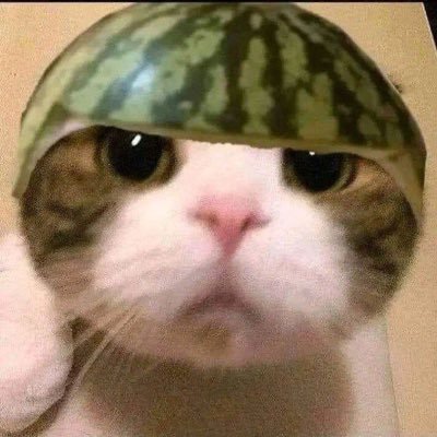 hogevark's profile picture. ամուր հոգի պետք է ունենԱՆՔ