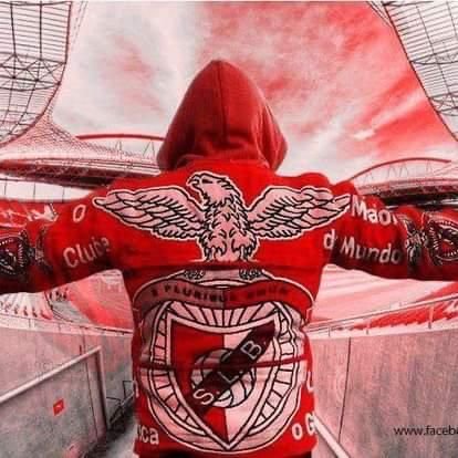 SLB 1904