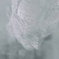 TodoCristti (@thisbrutalworld) 's Twitter Profile