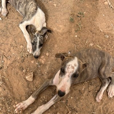 92Younous's profile picture. 