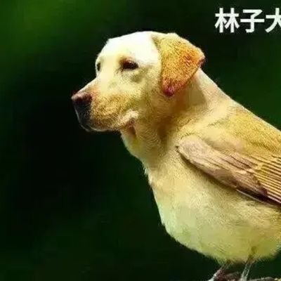 xiaopen34496701's profile picture. tktktk。喜欢tk的小伙伴可以私信我哦，男er。约过多次，经验丰富。