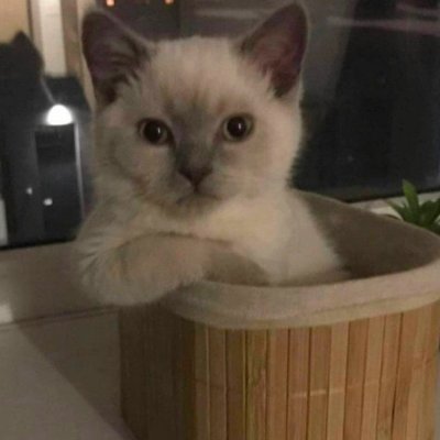 ari_akm's profile picture. 