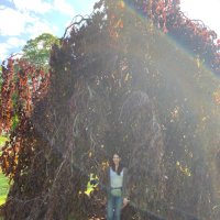 Lauren Jalali (@laurenjalali) 's Twitter Profile