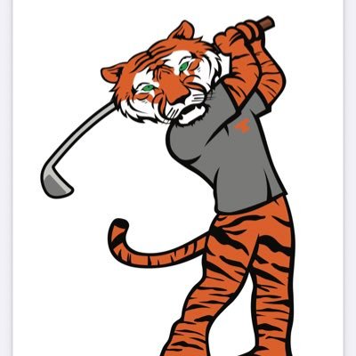 Texas High Tiger Golf Profile