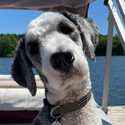 haysaust's profile picture. 