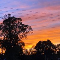 Amy Hunter (@amyhuntervt) 's Twitter Profile