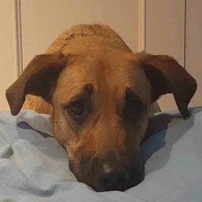 yohana182's profile picture. ¡Simplemente, has lo que hace sentir bien!! Fin de la historia. Eres dueño de tus decisiones.