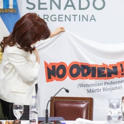 Mujer, peronista e hincha de Boca. Y cada día que pasa amo más a Cristina ❤️✌️💚