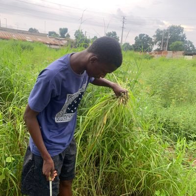 Karamba4988's profile picture. Don’t make excuses all the time